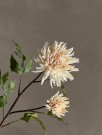 Chrysantemum Kunstig Stilk thumbnail
