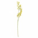 Gule Blomster thumbnail