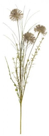 Blomster
