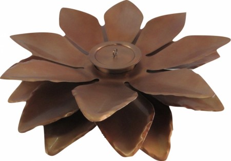 Lilje 50 Copper, Finn Schjøll