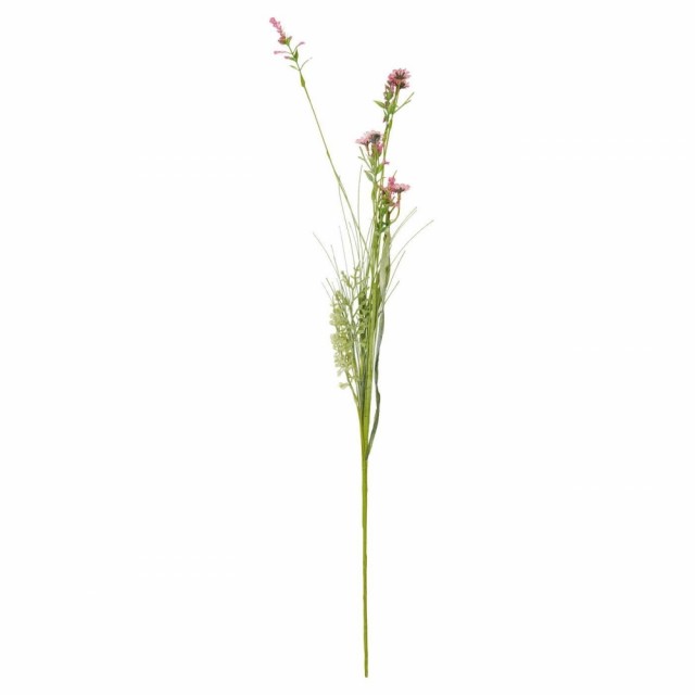 To slags rosa blomster