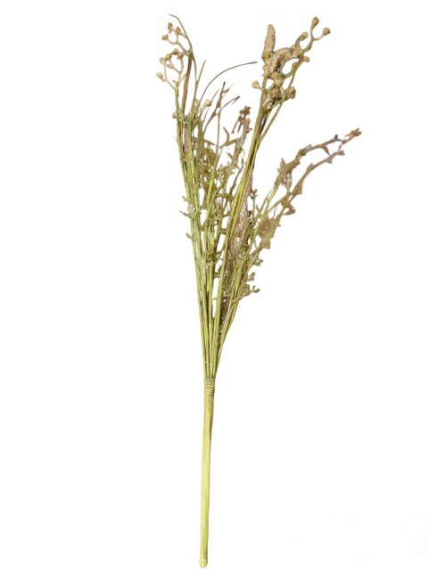Blomst grålige nyanser