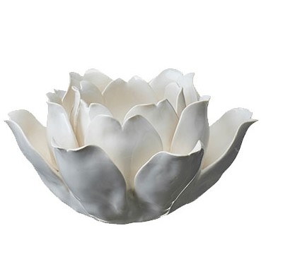 Sally lysestake rose utspredd
