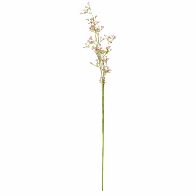 Rosa blomster