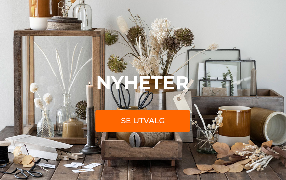 nyheter